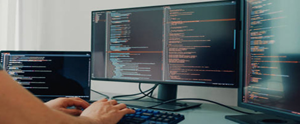 Website Development & Maintenance